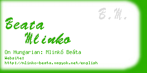 beata mlinko business card